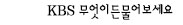 txt:KBS무엇이든물어보세요